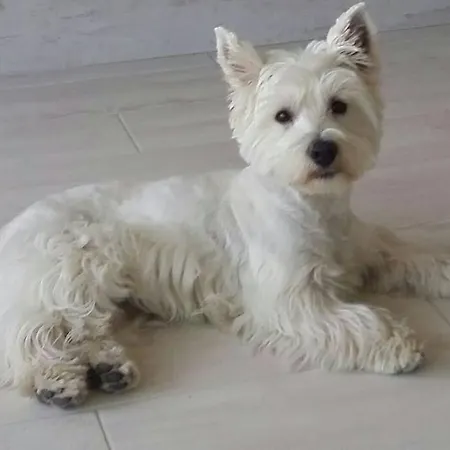 Luxury 1 Minute From The Of The Dunes *