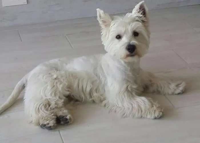 Luxury 1 Minute From The Of The Dunes *